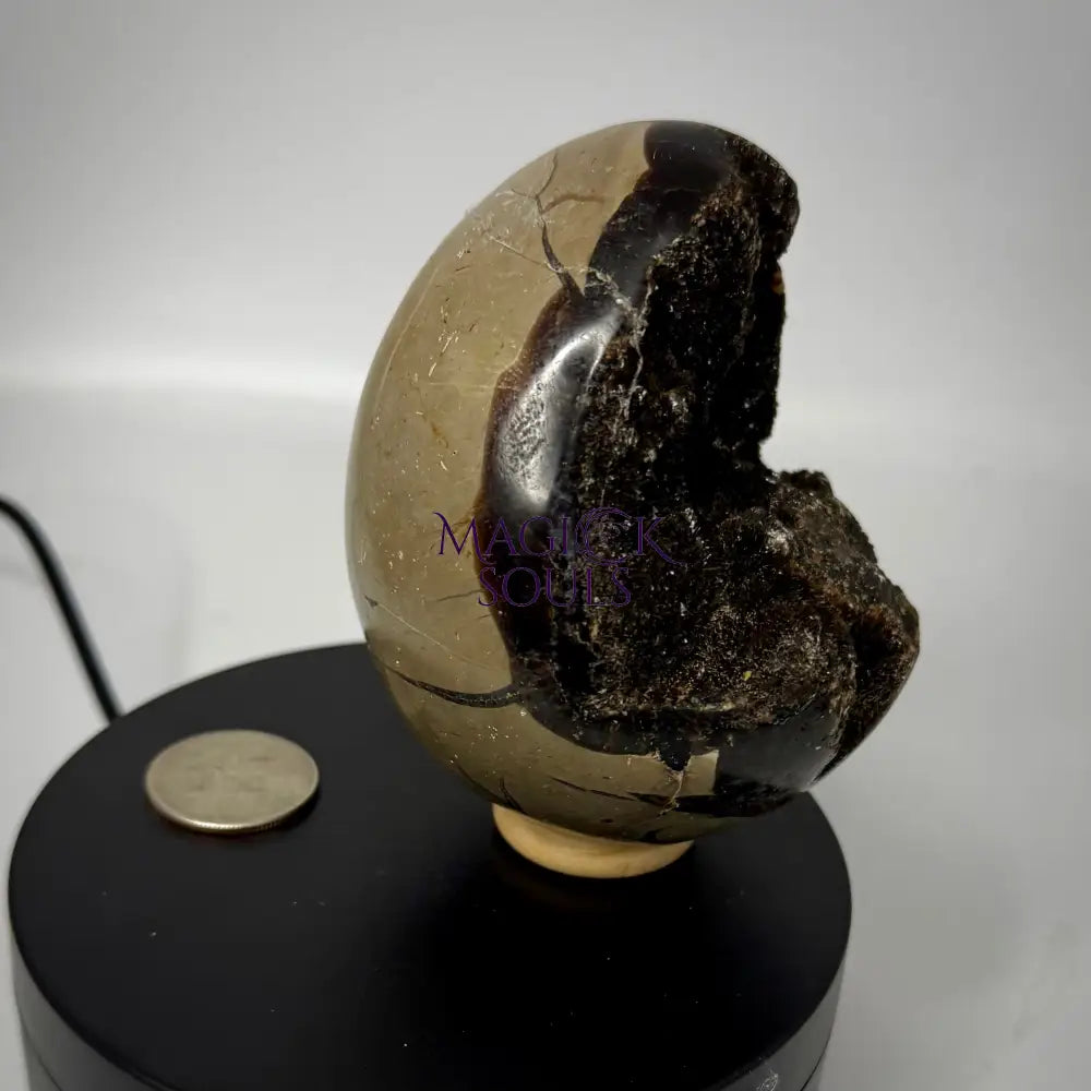 Septarian Druzy Dragon Egg UV Reactive - The misfit market