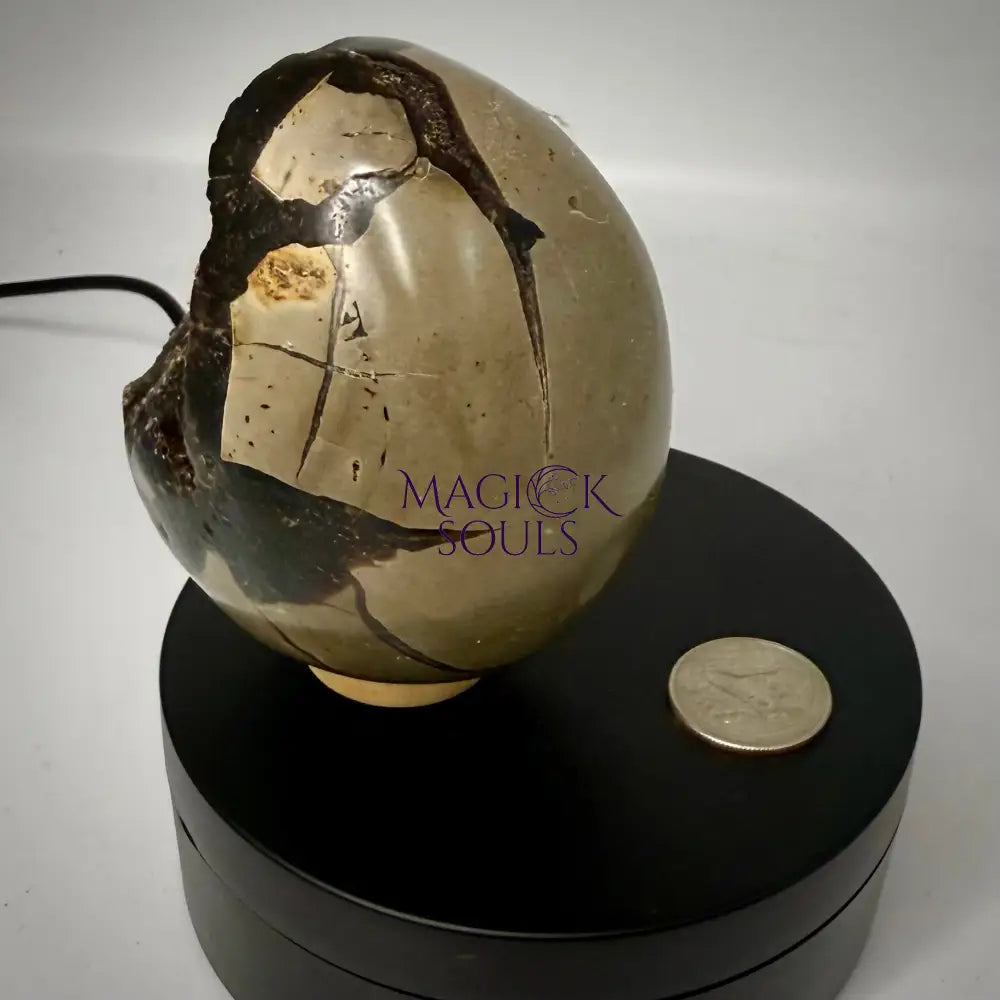 Septarian Druzy Dragon Egg UV Reactive - The misfit market