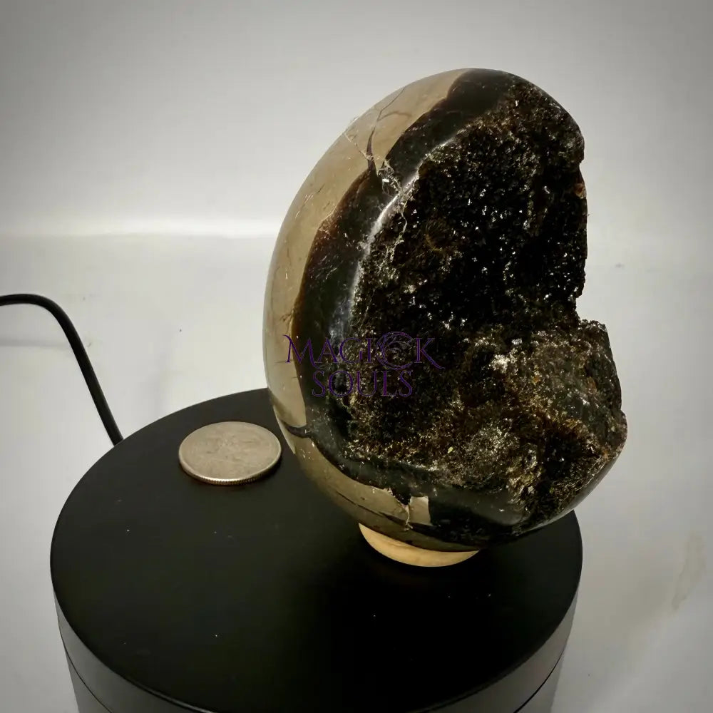 Septarian Druzy Dragon Egg UV Reactive - The misfit market