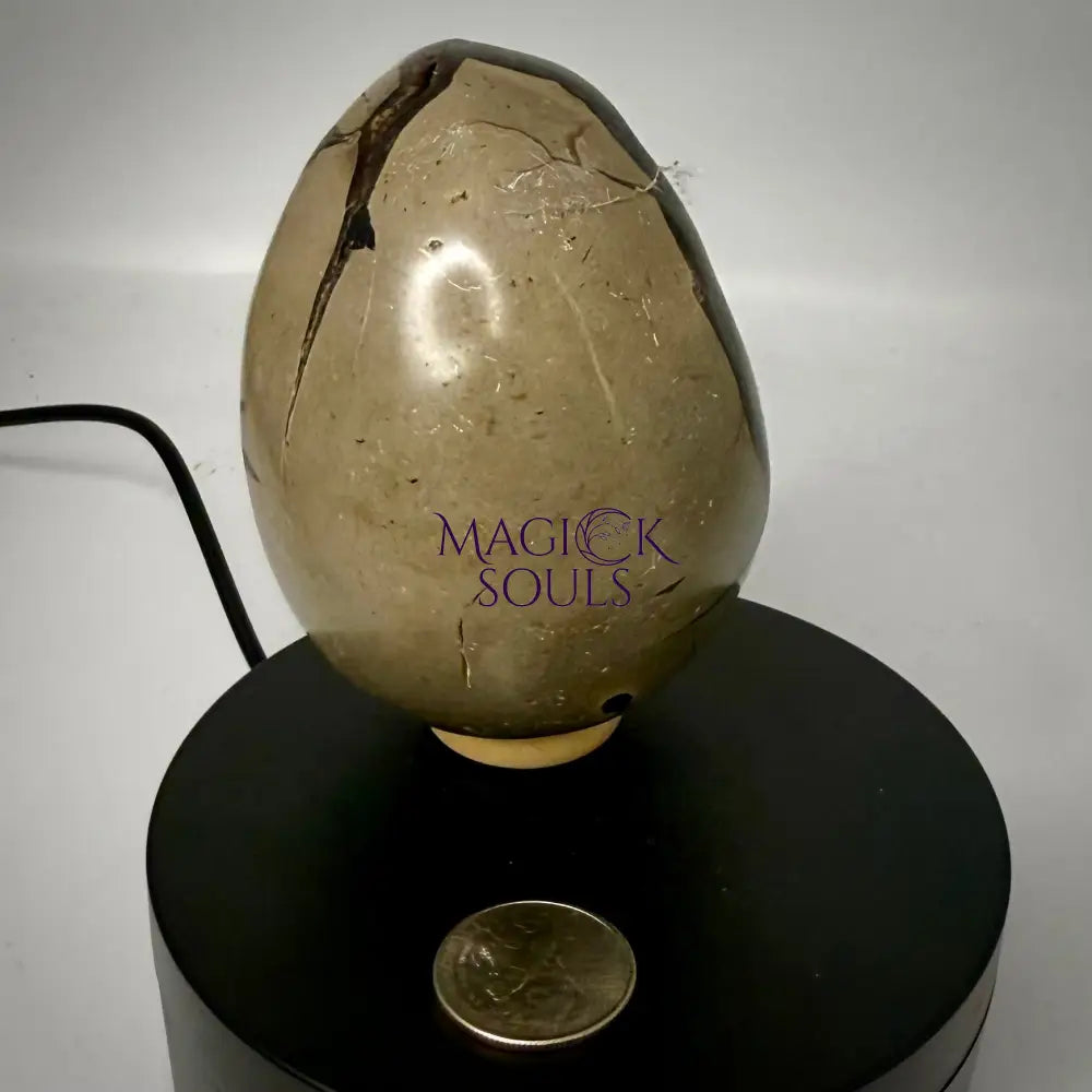 Septarian Druzy Dragon Egg UV Reactive - The misfit market