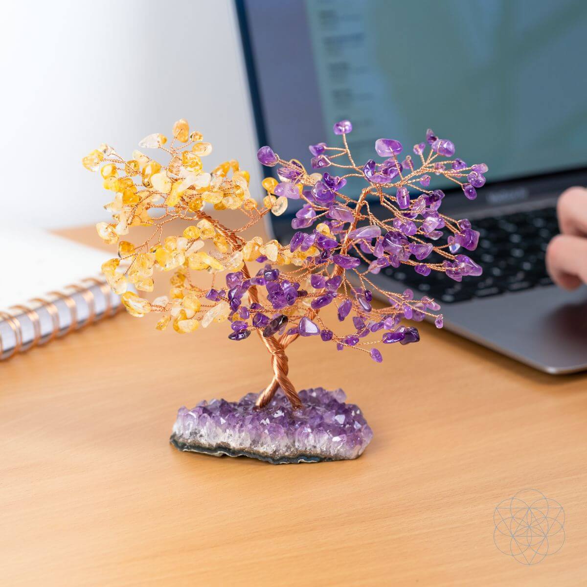 Supreme Abundance: Tree of Everlasting Fortune - The misfit market