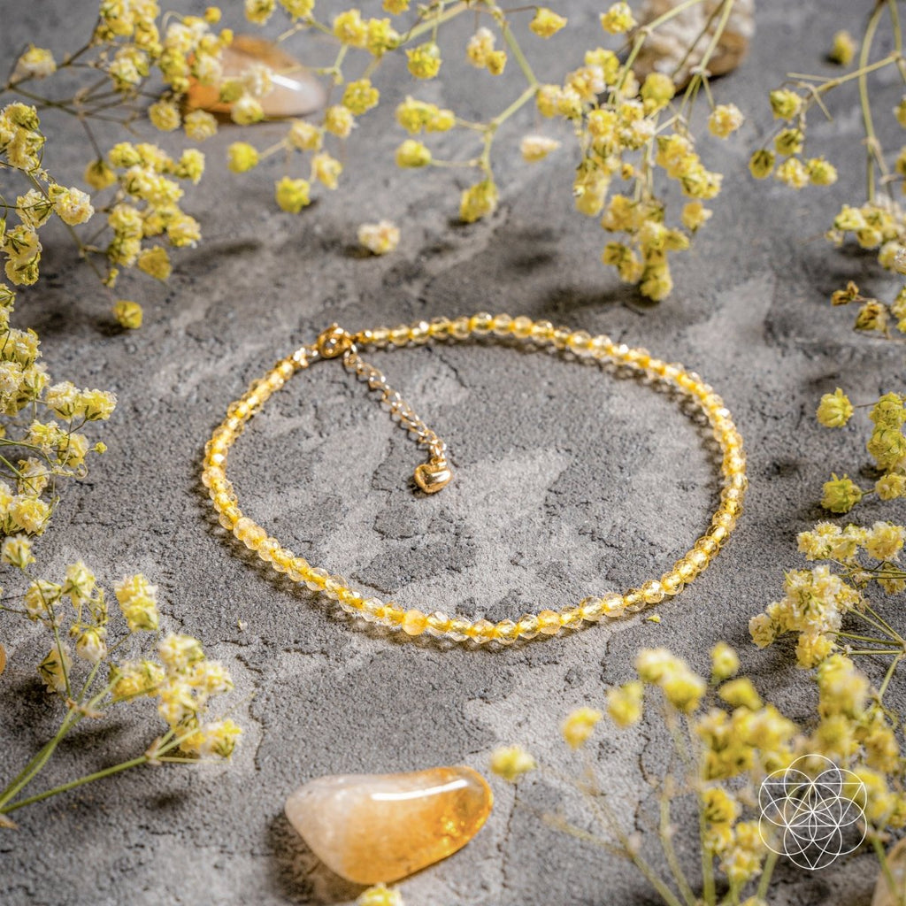 The Abundance Anklet - The misfit market
