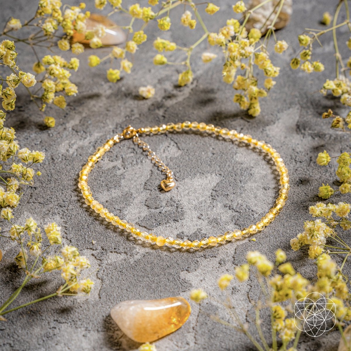 The Abundance Anklet - The misfit market
