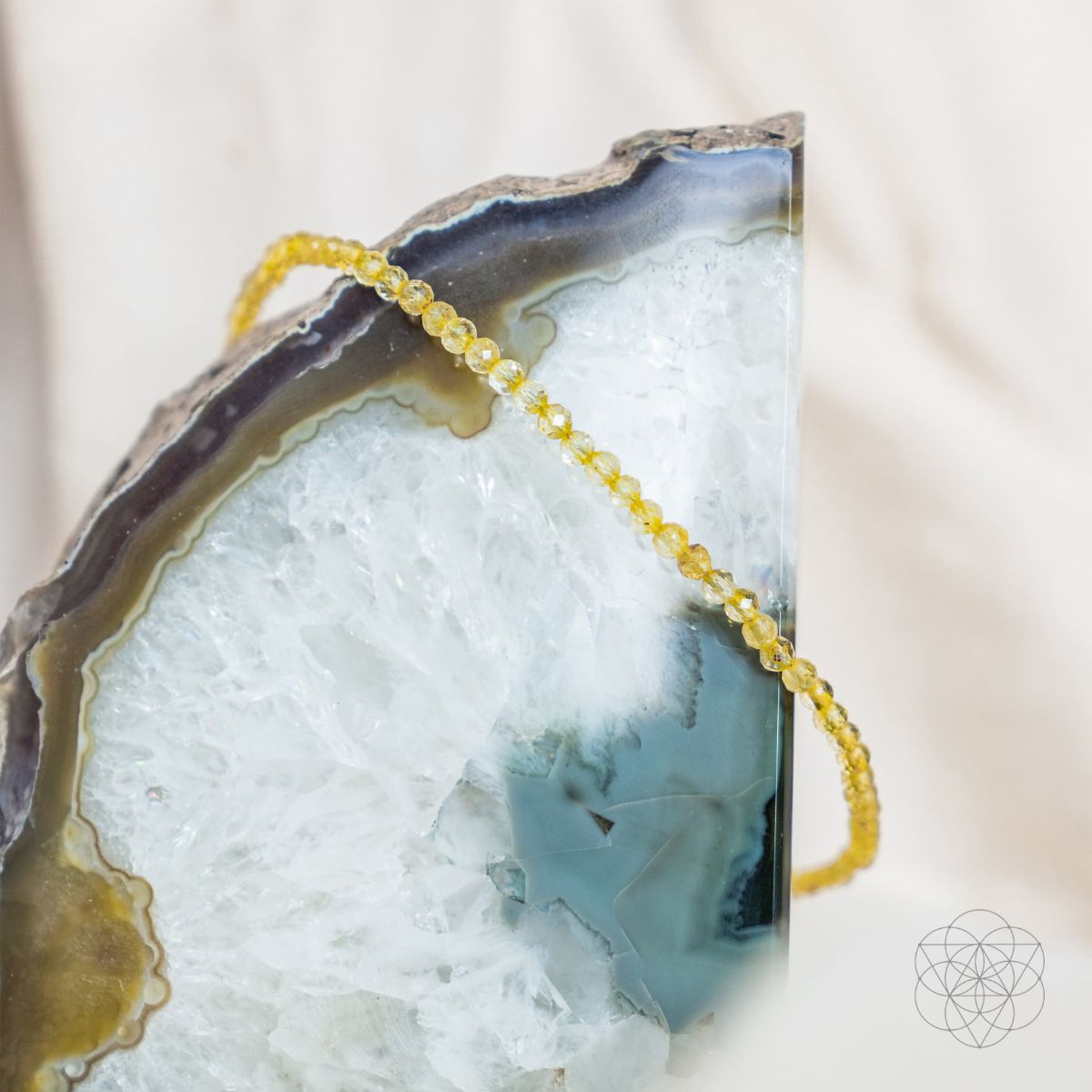 The Abundance Anklet - The misfit market