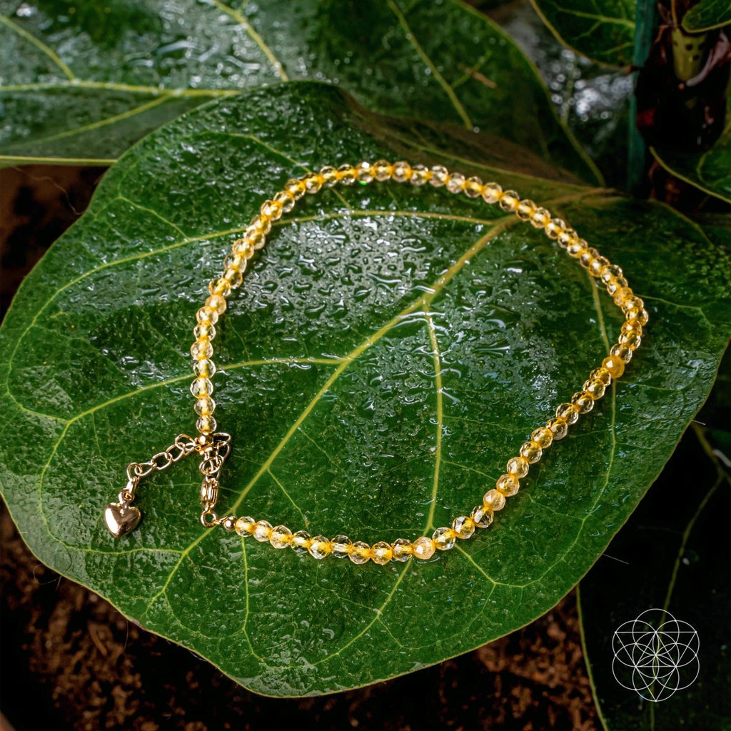 The Abundance Anklet - The misfit market