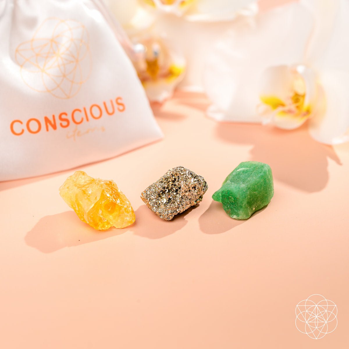 The Abundance Trio - The misfit market