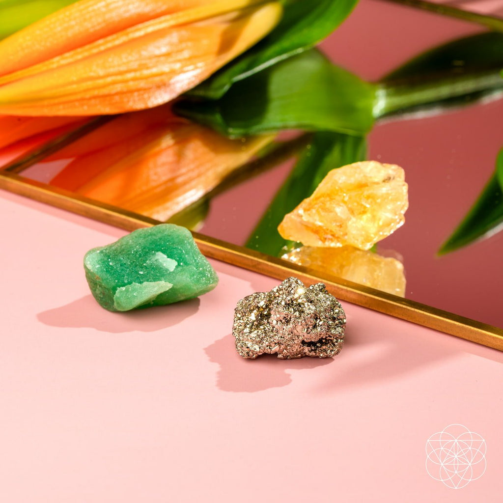 The Abundance Trio - The misfit market