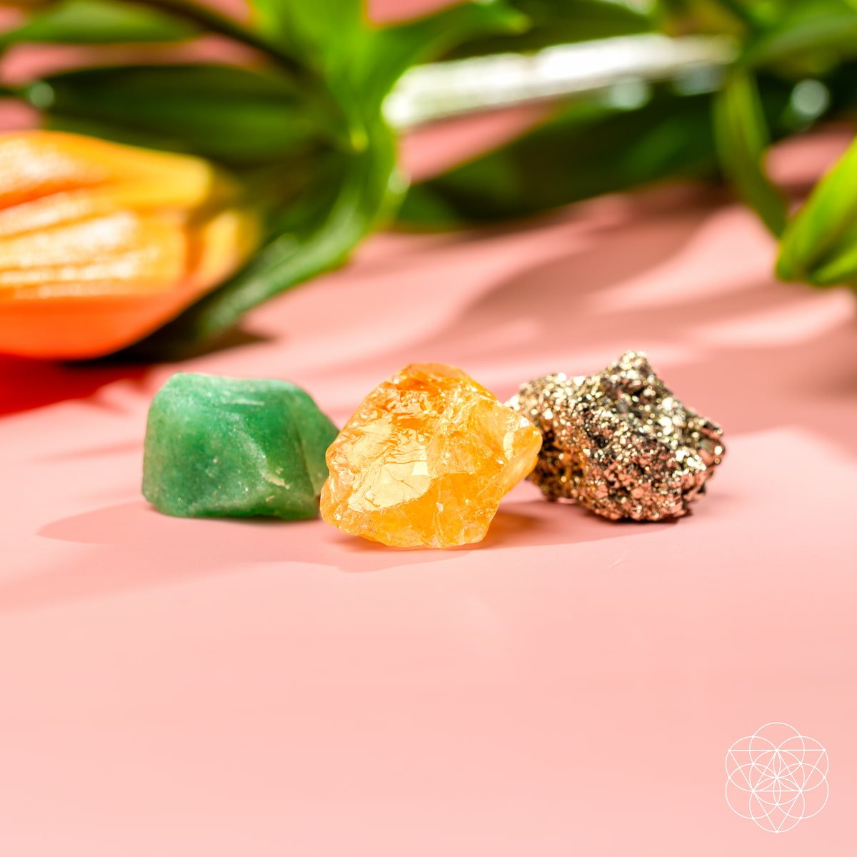 The Abundance Trio - The misfit market