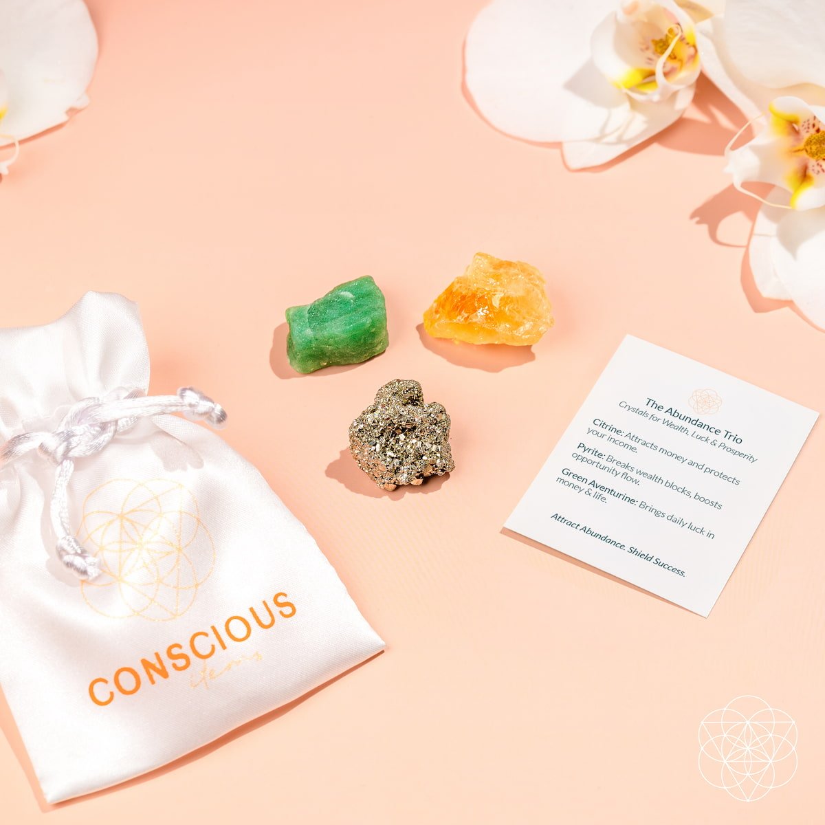 The Abundance Trio - The misfit market