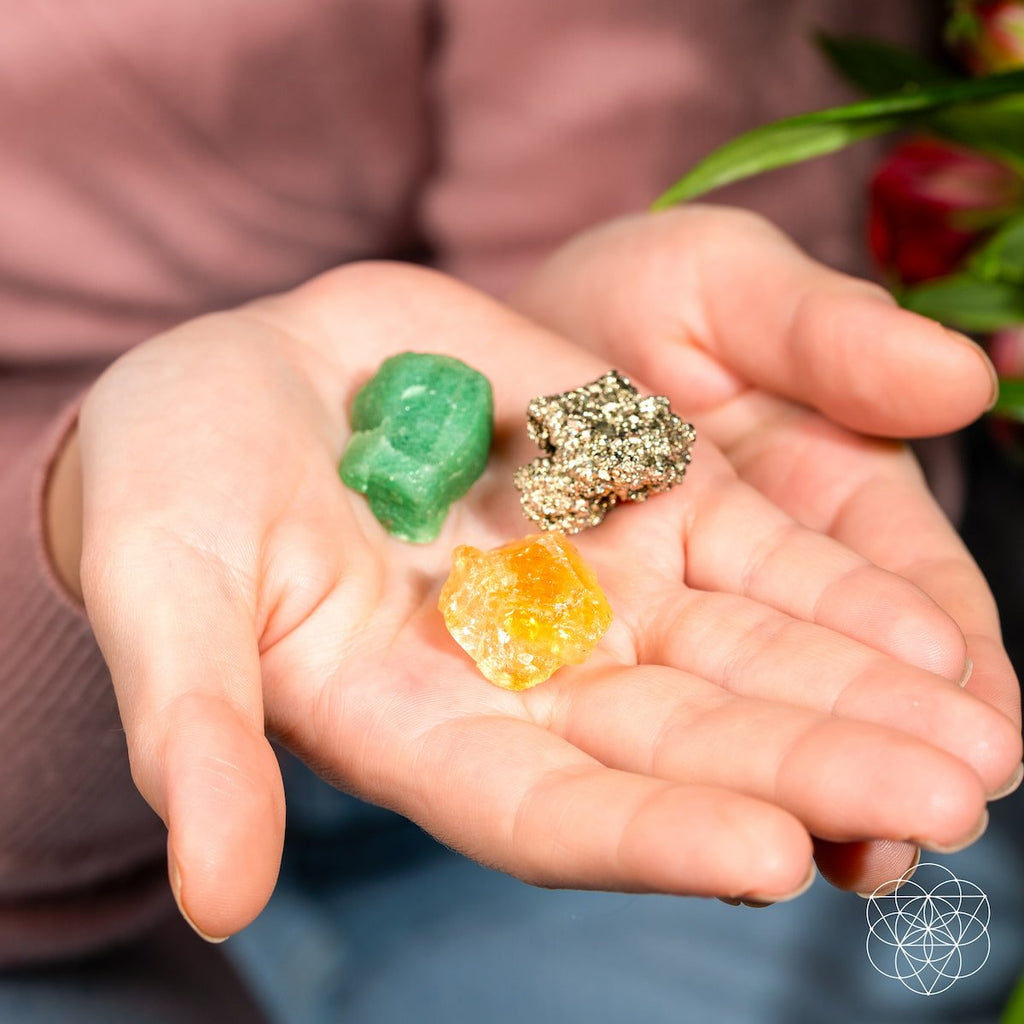 The Abundance Trio - The misfit market