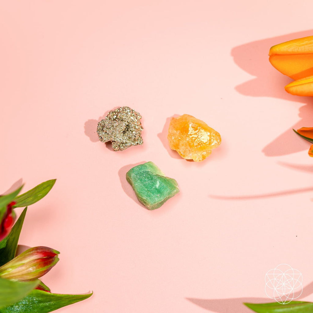 The Abundance Trio - The misfit market