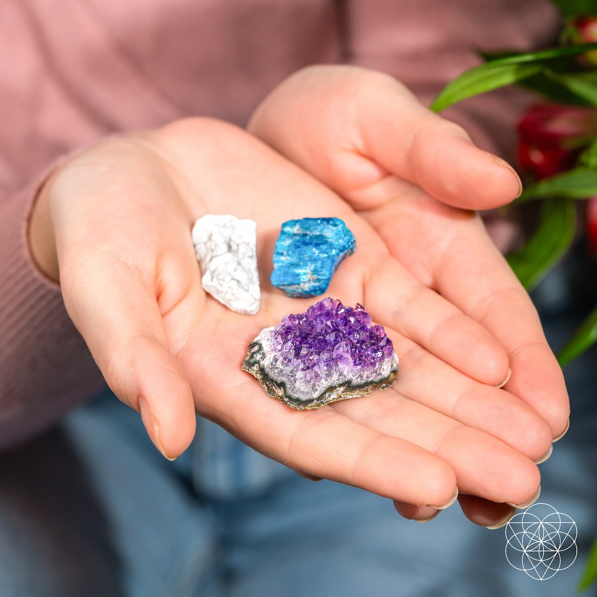 The Anti-Anxiety Trio - The misfit market