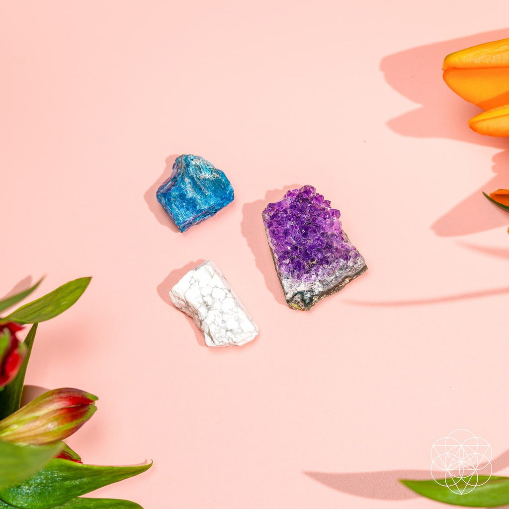 The Anti-Anxiety Trio - The misfit market