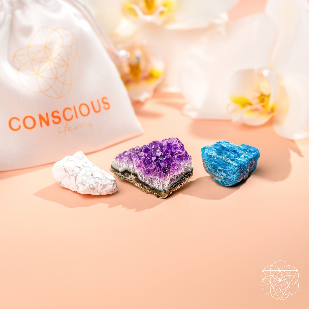 The Anti-Anxiety Trio - The misfit market