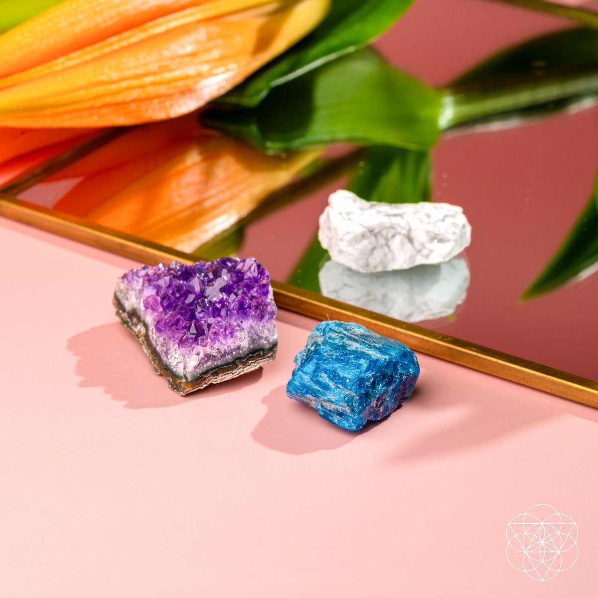 The Anti-Anxiety Trio - The misfit market