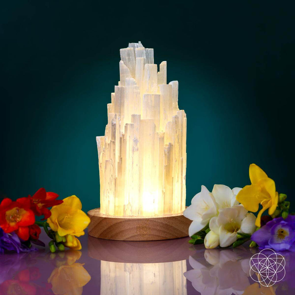 The Cleanse-All Selenite Lamp - 2 Pounds of Healing Power - The misfit market