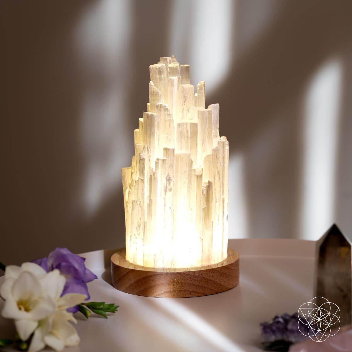 The Cleanse-All Selenite Lamp - 2 Pounds of Healing Power - The misfit market