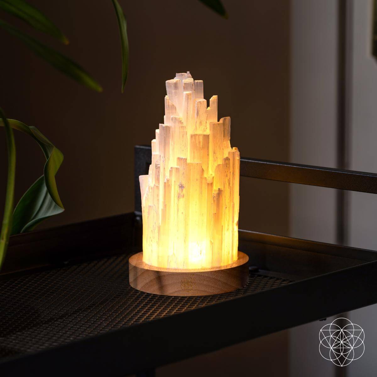 The Cleanse-All Selenite Lamp - 2 Pounds of Healing Power - The misfit market