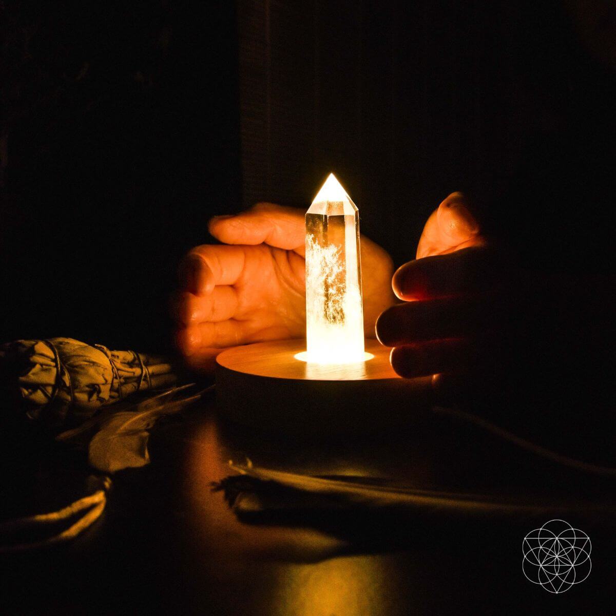 The Healing Lamp - The misfit market