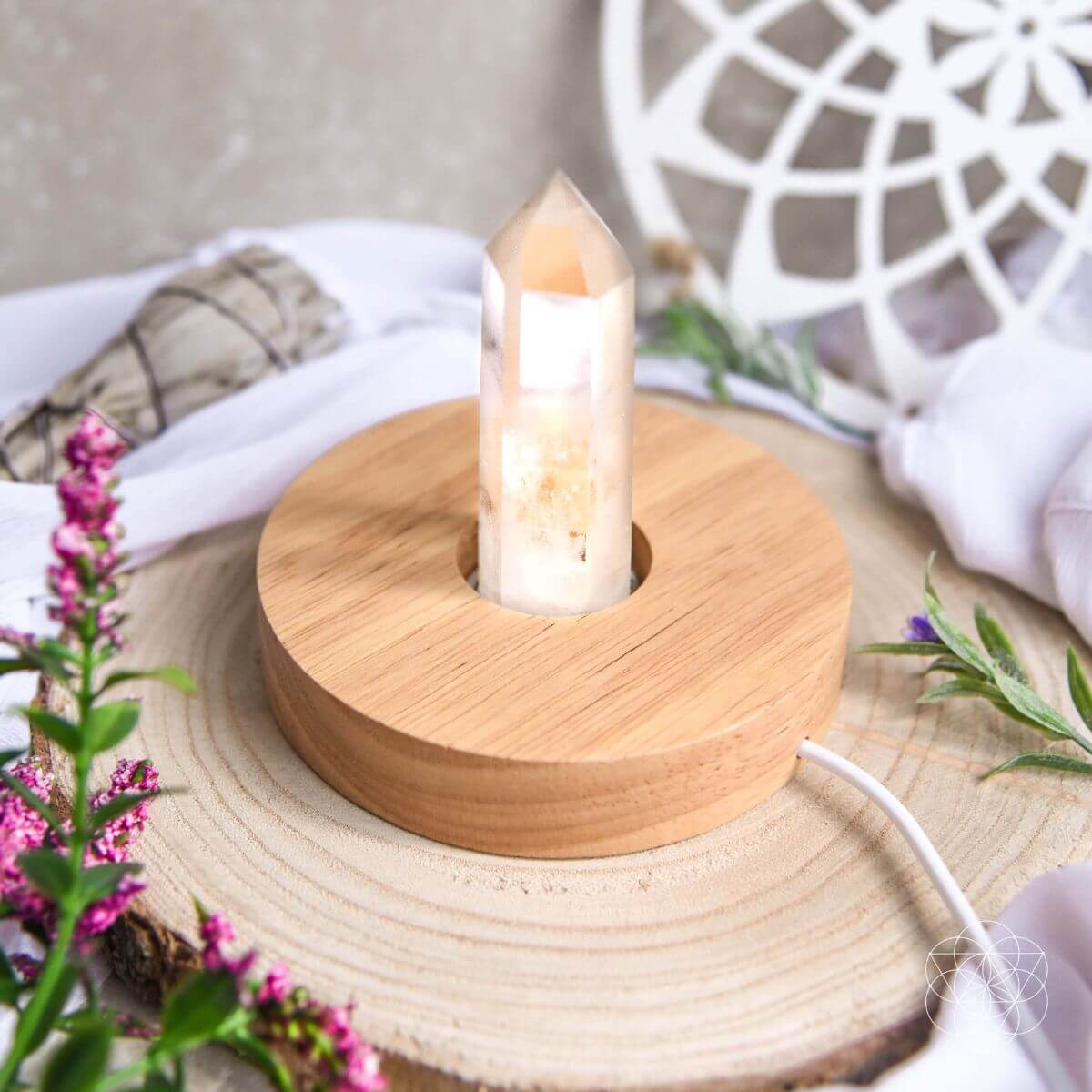The Healing Lamp - The misfit market