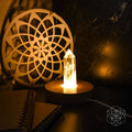 The Healing Lamp - The misfit market