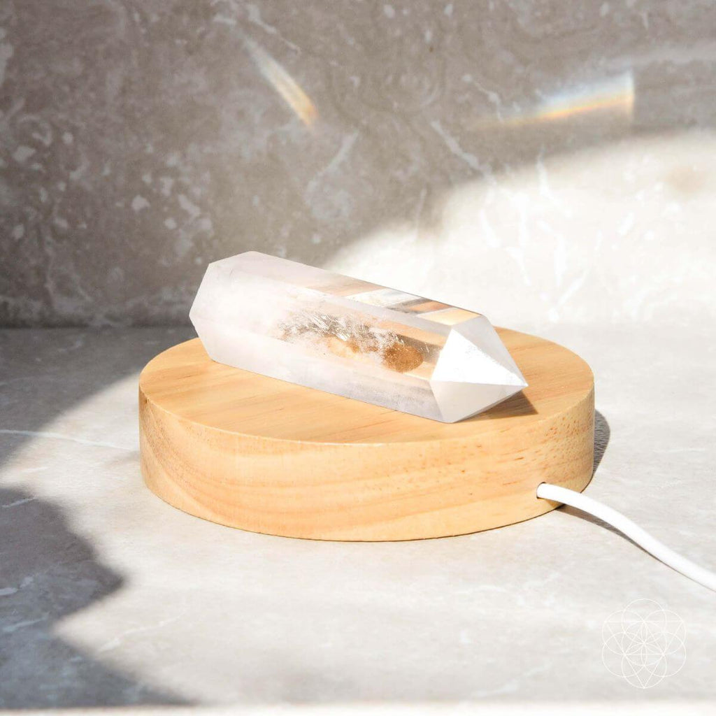 The Healing Lamp - The misfit market