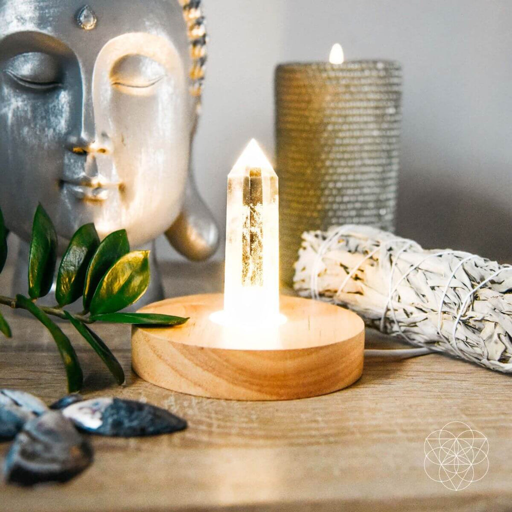 The Healing Lamp - The misfit market