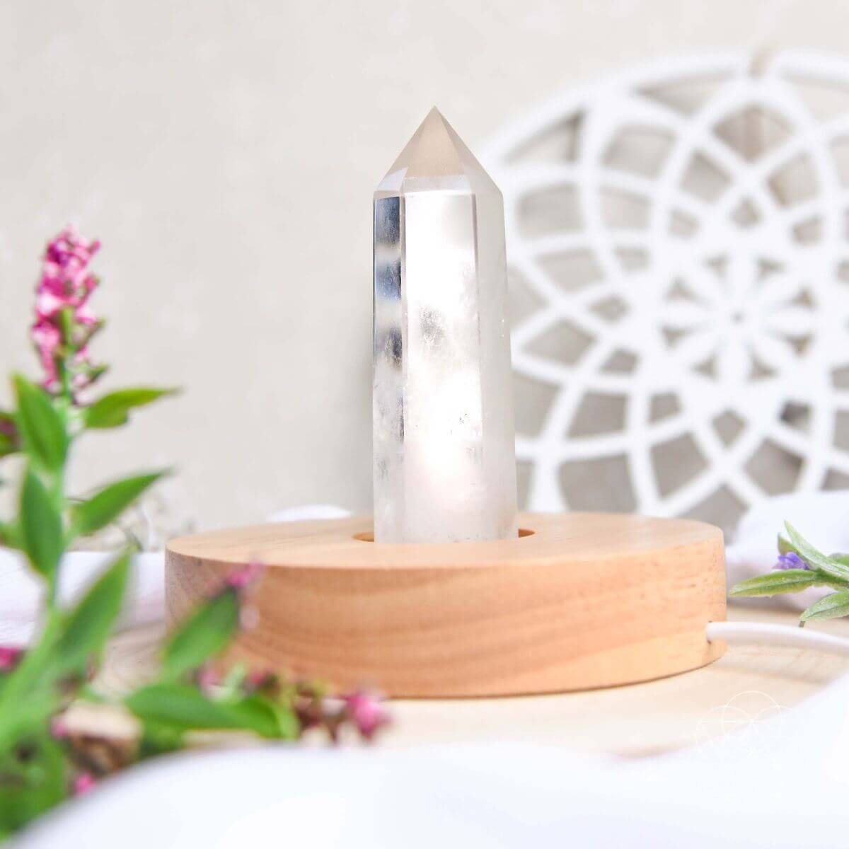 The Healing Lamp - The misfit market