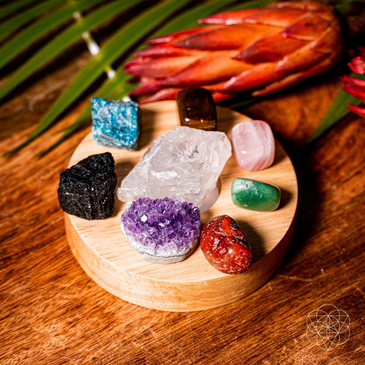 The Natural Energy Lamp - The misfit market