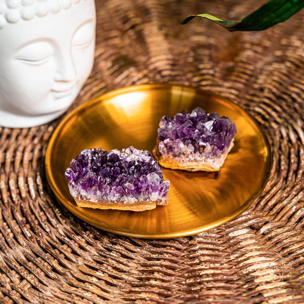 The Natural Intuition Stone - The misfit market