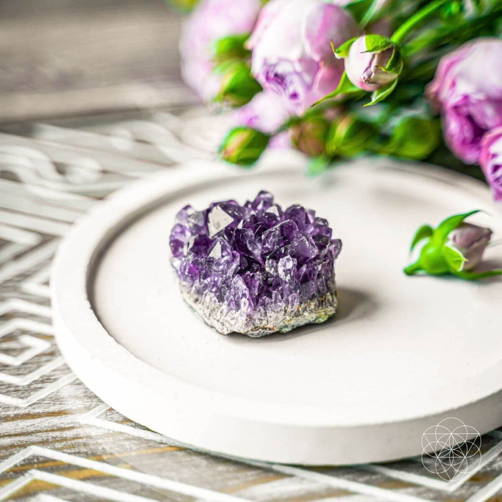 The Natural Intuition Stone - The misfit market