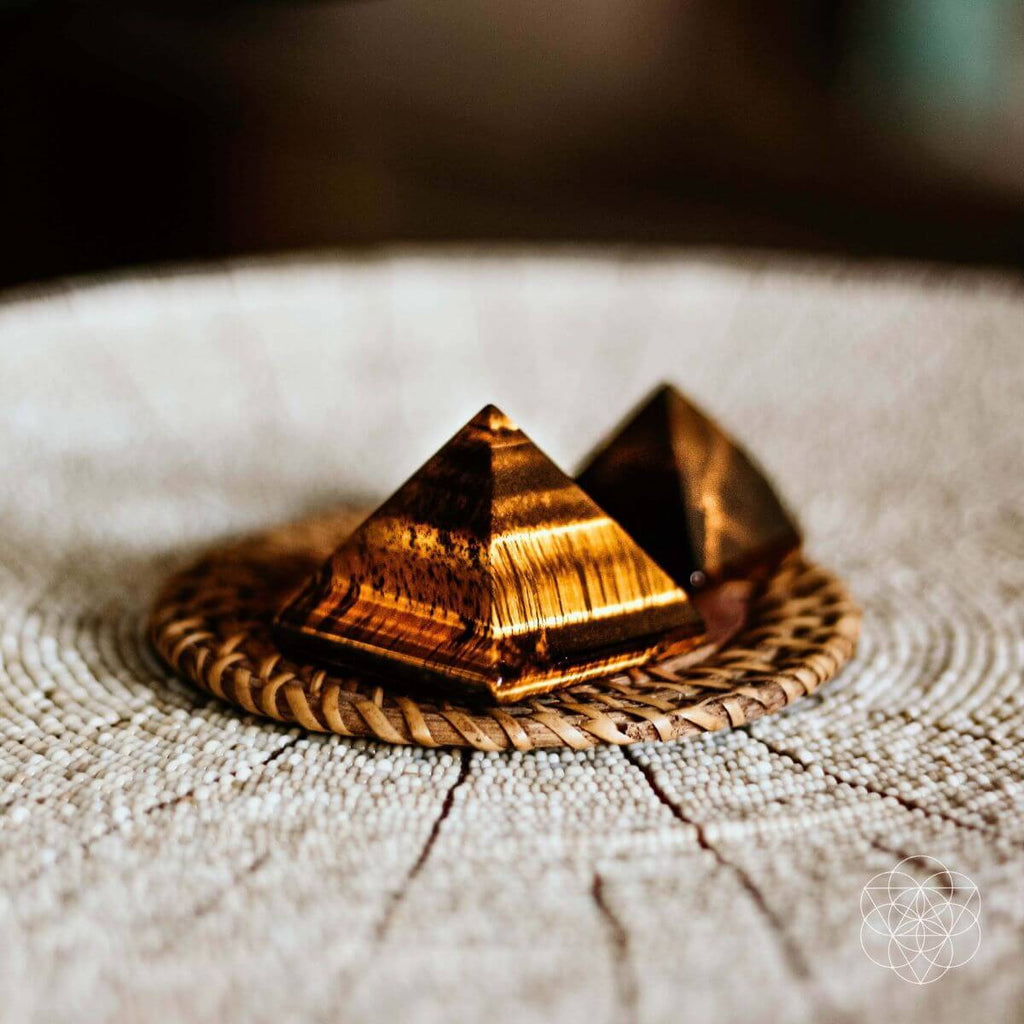The Pyramid of Focus - The misfit market