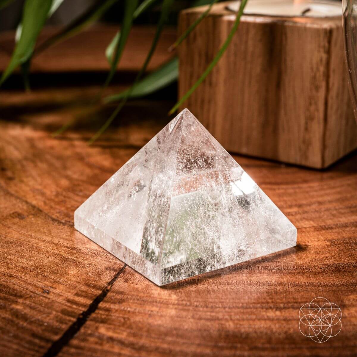 The Pyramids of Power - The misfit market