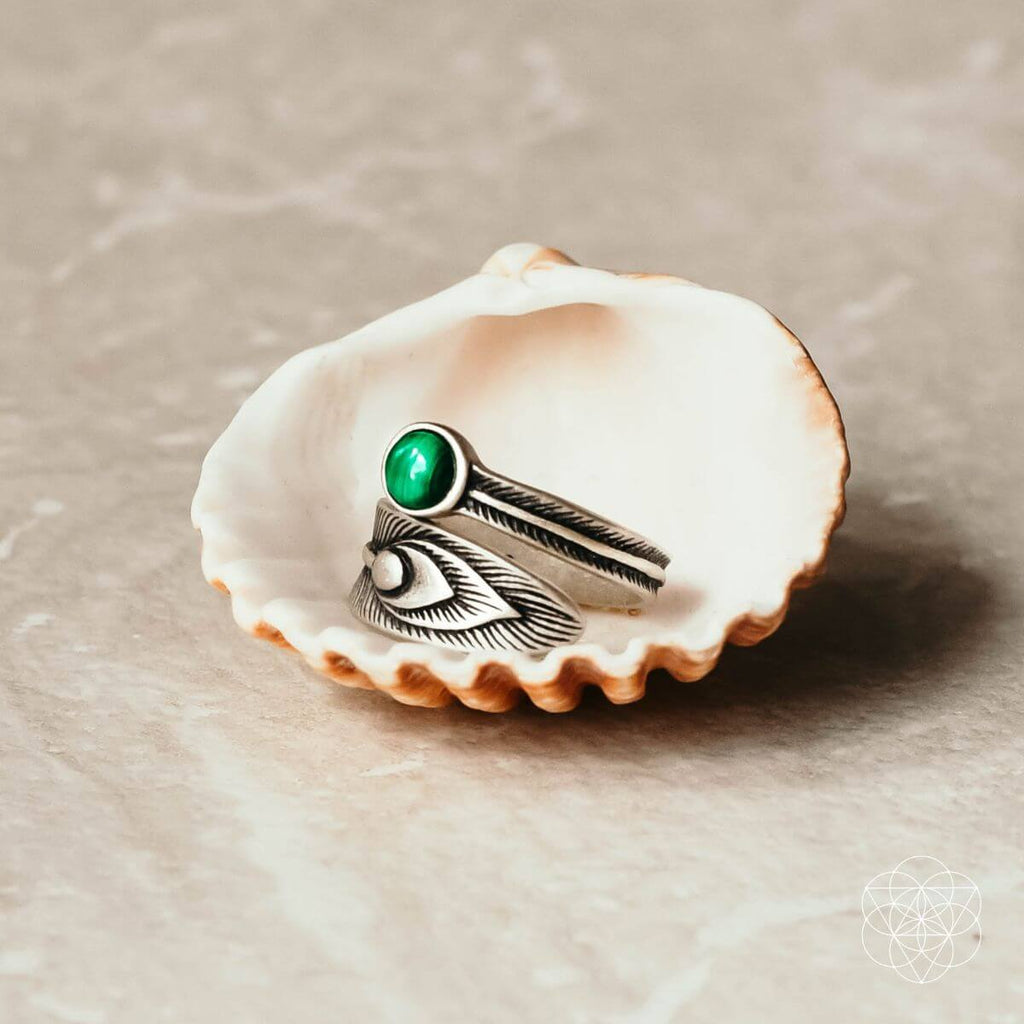 The Ring of Abundance - The misfit market