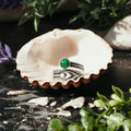 The Ring of Abundance - The misfit market