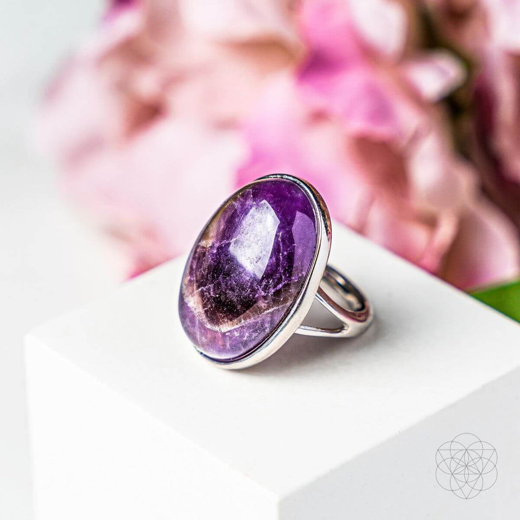 The Visualization Ring - The misfit market