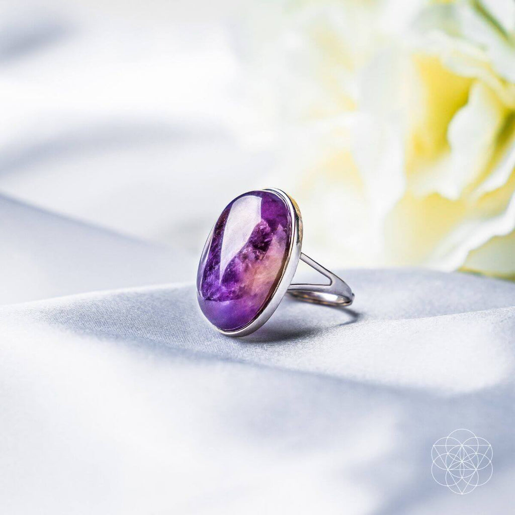 The Visualization Ring - The misfit market