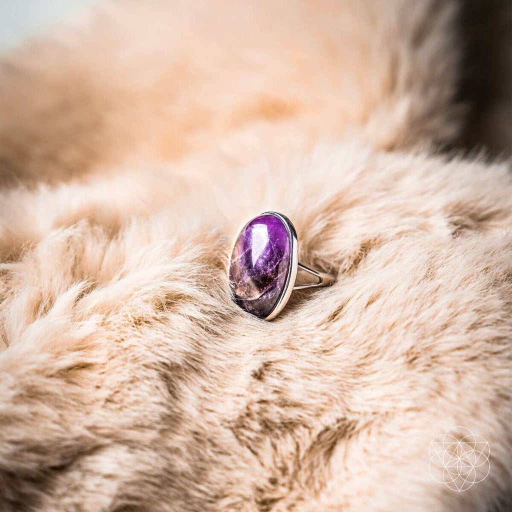 The Visualization Ring - The misfit market