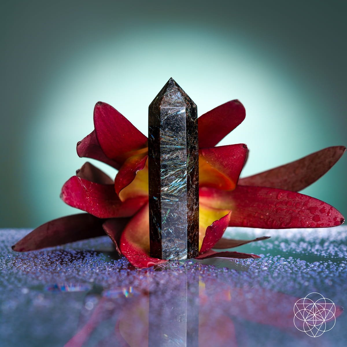 This Is Your Breakthrough – Rare Arfvedsonite Point - The misfit market