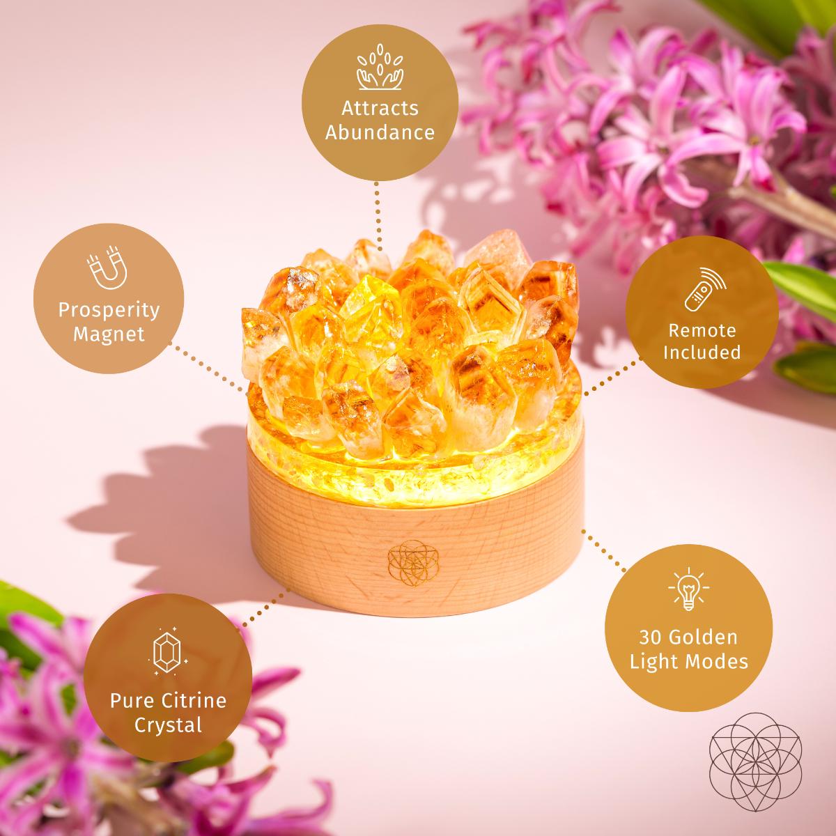 Turn My Life to Gold - Midas Citrine Lamp - The misfit market