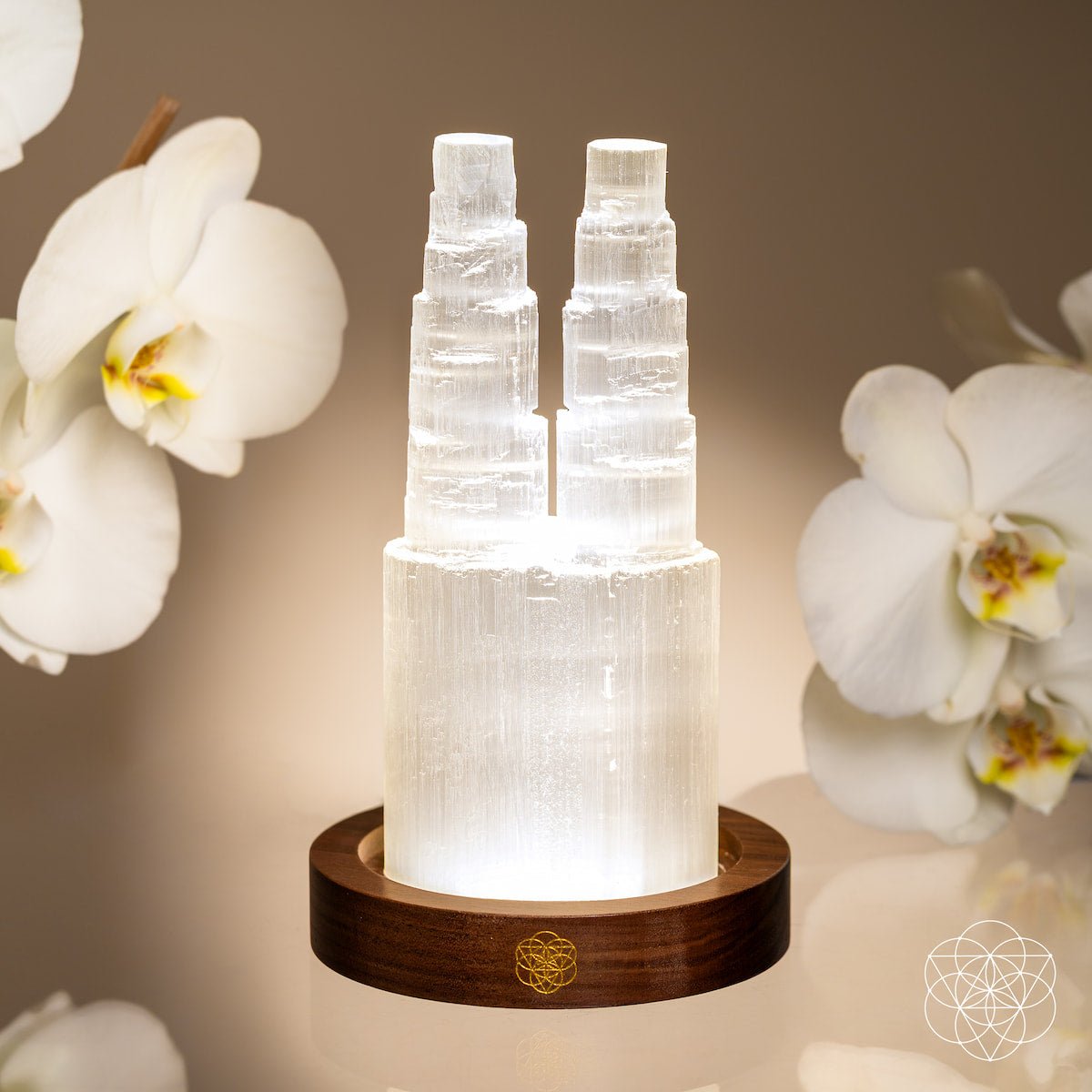 Two-Tower Selenite Lamp – Deep Energy Cleanse & Reset - The misfit market