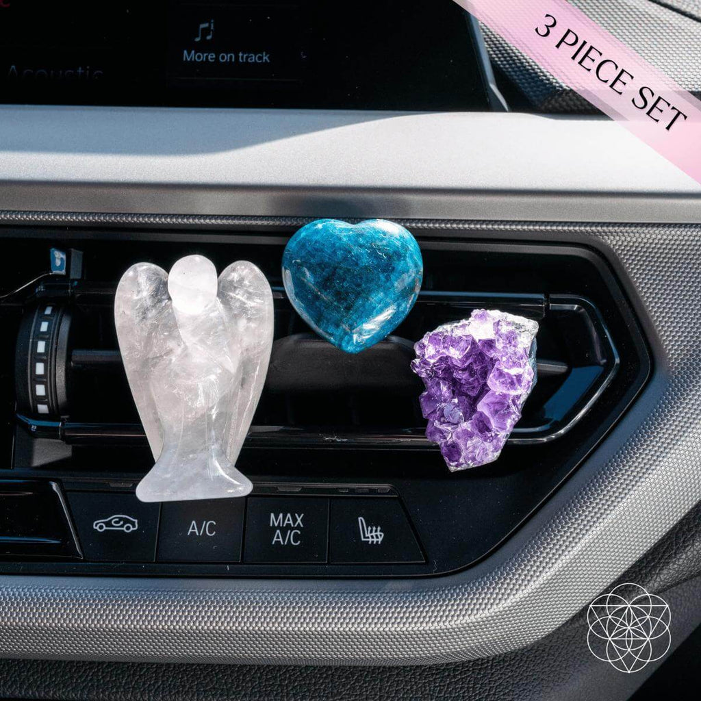 Ultimate Car Protection Trinity - The misfit market